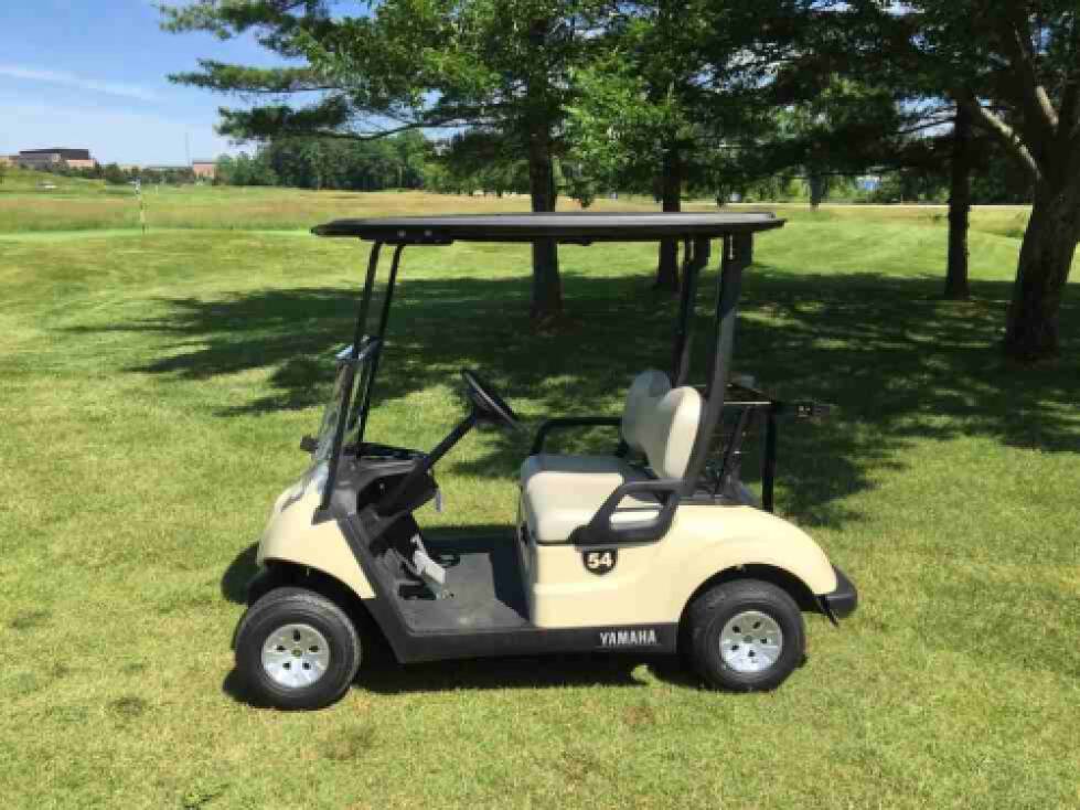 2 Person Cart